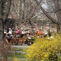 Od straha od promaje do kesa u kesi! Balkanci jednoglasno priznali koje su naše najmoćnije osobine: "Na 'kako si' odgovaramo…