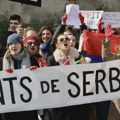 Vlast se uplašila glasova dijaspore i sve uradila da im oteža izlazak na birališta: Ovo su priče ljudi koji ne odustaju