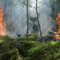 Divljaju požari na Rodosu