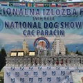 Nacionalna izložba pasa: Danas u Paraćinu kod Hale sportova (foto)