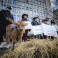 Bugarski farmeri traže ostavku ministra: Frustrirani su zbog propisa EU i posledica rata u Ukrajini