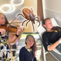 Vapaj mlade violinistkinje jane: Napravila sam grešku i krpelj me je paralisao! Plakala sam od bolova, u Srbiji za ovo nema…