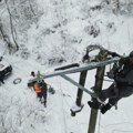 Haos u ovom mestu u Srbiji, napadalo više od 20 centimetara snega! Lomi se drveće, padaju grane...