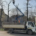 PISMA ČITALACA: Masakrirane lipe! da li JKP „Čistoća i zelenilo“ i dalje koristi zabranjenu metodu orezivanja? Masakrirane…