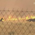Snimljeni konji koji beže od požara kod Atine (VIDEO)