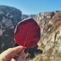 Sunčano i toplo, maksimalna dnevna temperatura 30 stepeni