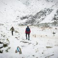 Ovo je devojka (25) koja je nestala bez traga! Niko je nije video više od dve nedelje, boravila je blizu granice, upućen hitan…
