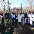 Za zelenije gradove u Srbiji – DDOR u novom ciklusu sadnje drveća