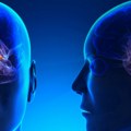 Muškarac i žena nisu isto Naučnici sa Stenforda dokazali, razlike su ukorenjene u mozgu