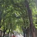 Sunčan i topao dan pred Srbijom: Temperature do 31 stepen, manji pljuskovi sledeće sedmice