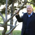 "Tata dobra je para, da promenim: Ime?" Ko je bio Den Tana, američki biznismen srpskog porekla : Rođen na livadi, bez babice…