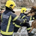 Herojska akcija u Leskovcu: Pogledajte kako su vatrogasci spasili psa iz dubokog šahta