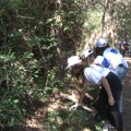 Učenici Ugostiteljsko-turističke škole u akciji čišćenja i očuvanja životne sredine