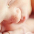 U Novom Sadu za jedan dan rođene 22 bebe