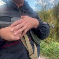 Nakon kavača na redu škaljari u toku je akcija policije u kojoj se vrše pretresi