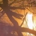 Ватра прогутала аутомобил: Драма код Џејеве кафане на Дорћолу, ватрогасци одмах реаговали (видео)