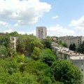 Osamdeset godina od pošumljavanja Zvezdarske šume: Istorija prirode koju ne pamtimo