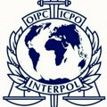 Interpol traži pomoć: Ne može da identifikuje telo dečaka pronađenog umotanog u foliju u Dunavu