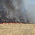 (Foto) veliki požar bukti kod Surčina: Crn, gust dim širi se njivom, prizor zastrašujući