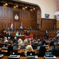 Ne daj se, Ines („opozicijo moja“)