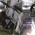 Pogledajte snimak paljenja kafić u čumićevom sokačetu: Sumnja se da je ovo motiv, a napadač pretio i granatom! (video)