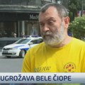 Iz Udruženja za zaštitu životinja upozoravaju: "Oko sto zarobljenih mladunaca bele čiope ispod bilborda u opasnosti, ovo je…