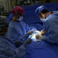 "Ovo se nikada ranije nije desilo": Bubreg svinje funkcionisao u telu čoveka 271 dan, oboren rekord