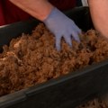 Miris čvaraka nad Kolubarom – jubilarni festival oborio rekorde