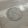 Suzbijanje glodara u kanalizacionim šahtama u Nišu