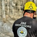 Veliki požar kod Bačke Topole: Vatra se širi, gust oblak dima vidi se iz daleka (Foto)