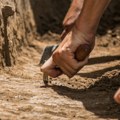 Istoričar u stanju šoka! Dok je istraživao ruševine, naišao na skriveno blago – pripadalo je ovoj moćnoj dinastiji! (foto)…