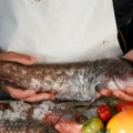 Cena šarana 800 dinara, soma 1.000: Ima li rizika od nestašice ribe zbog vodostaja Dunava? Evo da li snabdevanje bezbedno