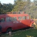 Safari na srpski način: Čuveni crveni autobus iz "Ko to tamo peva" obilazi Šumadiju