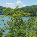 Muškarac (43) nastradao u požaru kod Bovanskog jezera