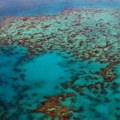 Korali opet nestaju na Velikom grebenu Australije