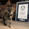 VIDEO: Najstarija mačka na svetu proslavila 30. rođendan