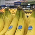 Porodica iz Podravine gaji indijanske banane: kilogram košta 7,8 evra, ali sav rod prodaju unapred