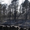 Jak vetar otežava gašenje požara širom Srbije: "Otvorili smo ograde, divljač kroz frontove beži od vatre"