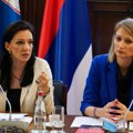 Šefica srpske delegacije u PS Saveta Evrope: Nadam se da Komitet ministara neće na dnevni red staviti Kosovo