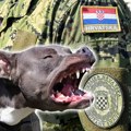Hrvatskom vojniku preti višegodišnja kazna zatvora: Njegov pas izujedao mu baku nasmrt! Ćerka nesrećne žene zatekla jeziv…