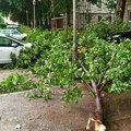 Haos nakon nevremena U Trebinju: Ulice poplavljene, stabla padaju po putu, a automobili su izlomljeni (foto)