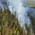 Dramatični prizori u komšiluku: Vatra guta sve pred sobom, situacija se menja iz minuta u minut (foto)