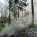 Srbijašume apeluju na građane da ne lože vatru u blizini šume i ne pale korov