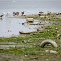 Kiša nije puno pomogla: Hidrološka situacija u Srbiji nepovoljna, vodostaj plovnih reka ispod nivoa