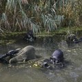 Napredna obuka za rečne diverzante Vojske Srbije