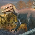 Pronađen fosil nepoznate vrste dinosaurusa sa neočekivanim ostatkom njegovog poslednjeg ručka