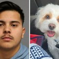 Stravično: Policajac otrovao psa svoje bivše devojke, Milo (3) nije imao šanse