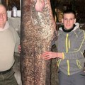 Ono što je Jovan (20) izvukao iz Dunava kod Tekije, ne pamti se decenijama: "Ovo je dunavska zver" (foto)