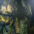 Sablasni "Izgubljeni grad" na dnu Atlantika: Mesto gde je nastao život na Zemlji sada je u ogromnoj opasnosti