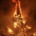 Francuska ponovo pod udarom požara: Vatra ugrožava gradove; Sprema se velika evakuacija